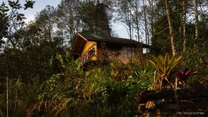 waykecha home